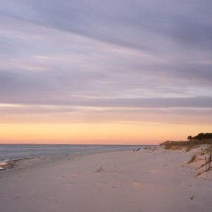 Photo #3 of 27520 ALLURE WAY, CAPE CHARLES, VA 5.0 acres