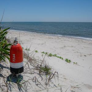 Photo #4 of 27520 ALLURE WAY, CAPE CHARLES, VA 5.0 acres