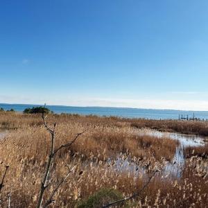 Photo #9 of Lot 720 CASTAWAY DR, GREENBACKVILLE, VA 8.0 acres