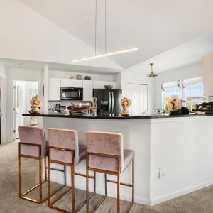 Photo #14 of 3188 BLACKBEARD RD, GREENBACKVILLE, VA 40.0 acres