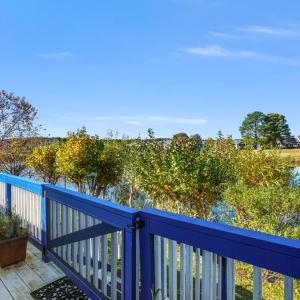 Photo #40 of 3188 BLACKBEARD RD, GREENBACKVILLE, VA 40.0 acres