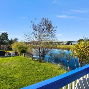 Photo #43 of 3188 BLACKBEARD RD, GREENBACKVILLE, VA 40.0 acres