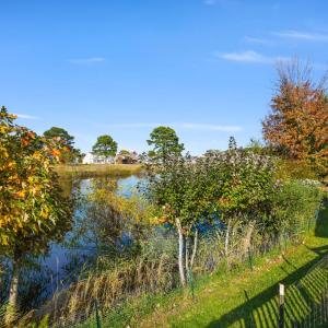 Photo #44 of 3188 BLACKBEARD RD, GREENBACKVILLE, VA 40.0 acres