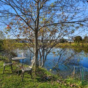 Photo #45 of 3188 BLACKBEARD RD, GREENBACKVILLE, VA 40.0 acres