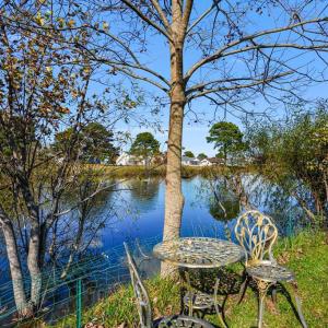 Photo #46 of 3188 BLACKBEARD RD, GREENBACKVILLE, VA 40.0 acres