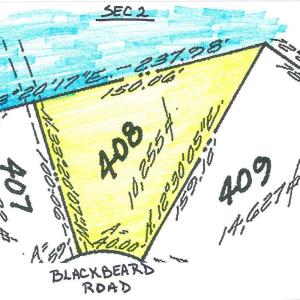 Photo #52 of 3188 BLACKBEARD RD, GREENBACKVILLE, VA 40.0 acres