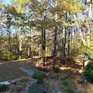 Photo #26 of 21435 HUNTERS WOODS RD, PARKSLEY, VA 3.3 acres