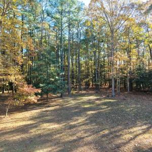 Photo #27 of 21435 HUNTERS WOODS RD, PARKSLEY, VA 3.3 acres