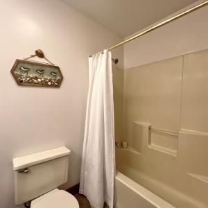 Photo #65 of 21435 HUNTERS WOODS RD, PARKSLEY, VA 3.3 acres