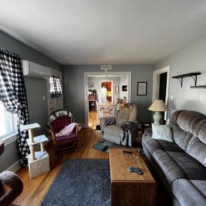 Photo #10 of 35458 UPSHUR NECK RD, QUINBY, VA 16.0 acres