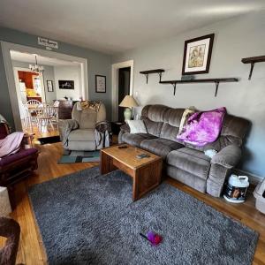 Photo #11 of 35458 UPSHUR NECK RD, QUINBY, VA 16.0 acres