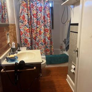 Photo #13 of 35458 UPSHUR NECK RD, QUINBY, VA 16.0 acres