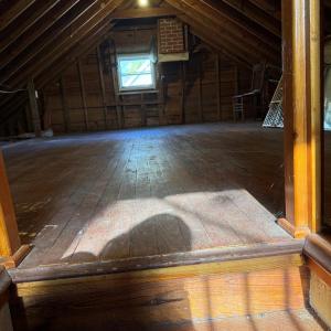 Photo #18 of 35458 UPSHUR NECK RD, QUINBY, VA 16.0 acres