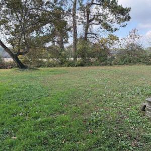 Photo #5 of 35458 UPSHUR NECK RD, QUINBY, VA 16.0 acres