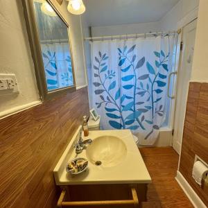 Photo #12 of 35458 UPSHUR NECK RD, QUINBY, VA 16.0 acres