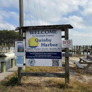 Photo #30 of 35458 UPSHUR NECK RD, QUINBY, VA 16.0 acres