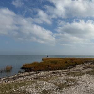 Photo #31 of 35458 UPSHUR NECK RD, QUINBY, VA 16.0 acres