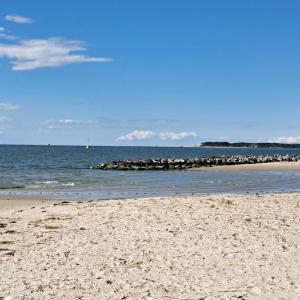 Photo #41 of 525 MONROE AVE, CAPE CHARLES, VA 40.0 acres