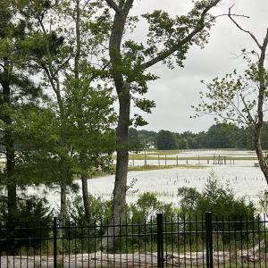 Photo #8 of 25267 SEASIDE CT, ACCOMAC, VA 4.4 acres