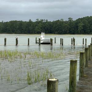 Photo #13 of 25267 SEASIDE CT, ACCOMAC, VA 4.4 acres