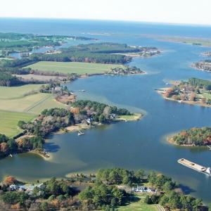 Photo #39 of 19074 COUNTY RD, PARKSLEY, VA 0.6 acres