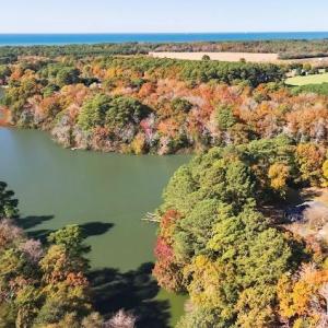 Photo #42 of 2483 POND DRAIN DR, CAPE CHARLES, VA 3.0 acres