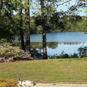 Peaceful setting