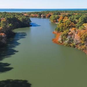 Beautiful Lake Allure