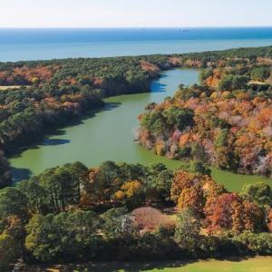Photo #49 of 2483 POND DRAIN DR, CAPE CHARLES, VA 3.0 acres