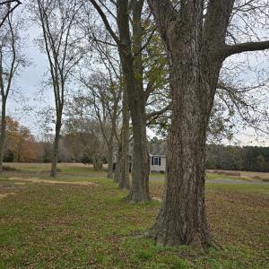 Photo #15 of 12078 TAYLOR ST, HALLWOOD, VA 0.3 acres