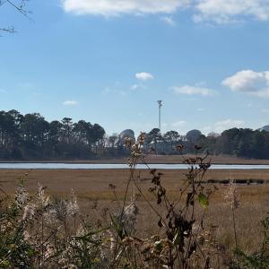 Photo #3 of 35017* PIN OAK, HORNTOWN, VA 0.2 acres