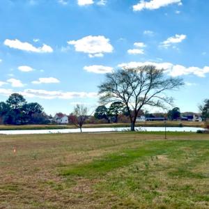 Photo #45 of 3105 MERIDIAN DR, GREENBACKVILLE, VA 9.0 acres