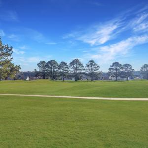 Photo #31 of 3349 NAVIGATOR DR, GREENBACKVILLE, VA 0.3 acres