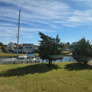 Photo #12 of 20282 BALDPATE LN, ONANCOCK, VA 0.5 acres