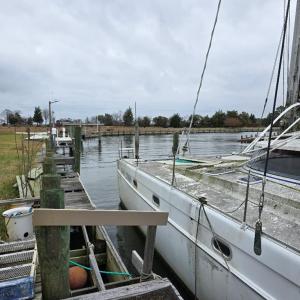 Photo #13 of 20282 BALDPATE LN, ONANCOCK, VA 0.5 acres