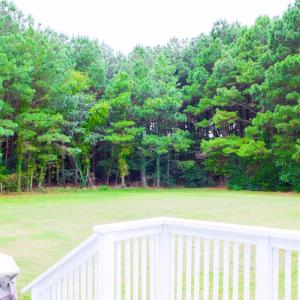 Photo #10 of 33144 BRADFORDS NECK RD, MELFA, VA 3.6 acres