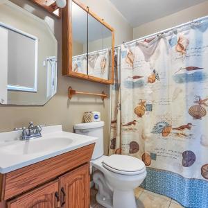 Photo #9 of 3902 CAPTAINS CORRIDOR, GREENBACKVILLE, VA 9,750.0 acres