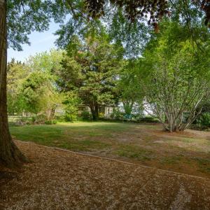 Nature In the Rear Yard