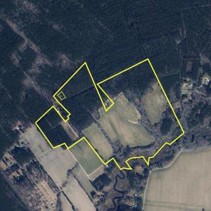 Photo #2 of 26355 MOUNT NEBO RD, ONANCOCK, VA 106.4 acres