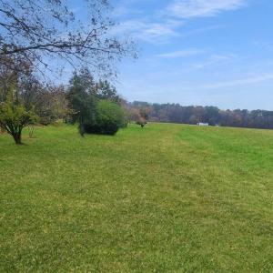 Photo #51 of 26355 MOUNT NEBO RD, ONANCOCK, VA 106.4 acres