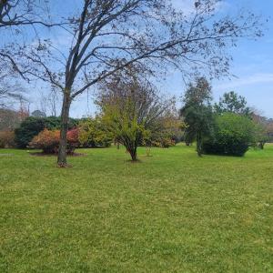 Photo #15 of 26355 MOUNT NEBO RD, ONANCOCK, VA 106.4 acres