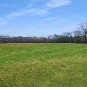 Photo #18 of 26355 MOUNT NEBO RD, ONANCOCK, VA 106.4 acres