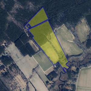 Photo #3 of 26355 MOUNT NEBO RD, ONANCOCK, VA 106.4 acres