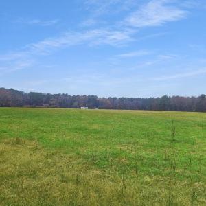 Photo #49 of 26355 MOUNT NEBO RD, ONANCOCK, VA 106.4 acres