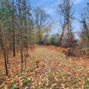 Photo #53 of 26355 MOUNT NEBO RD, ONANCOCK, VA 106.4 acres