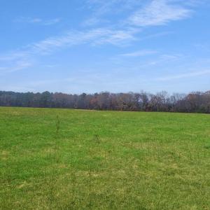 Photo #54 of 26355 MOUNT NEBO RD, ONANCOCK, VA 106.4 acres