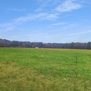 Photo #55 of 26355 MOUNT NEBO RD, ONANCOCK, VA 106.4 acres