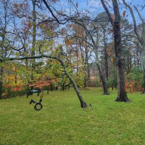 Photo #8 of 26355 MOUNT NEBO RD, ONANCOCK, VA 106.4 acres