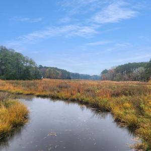Photo #13 of 26355 MOUNT NEBO RD, ONANCOCK, VA 106.4 acres