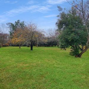 Photo #16 of 26355 MOUNT NEBO RD, ONANCOCK, VA 106.4 acres